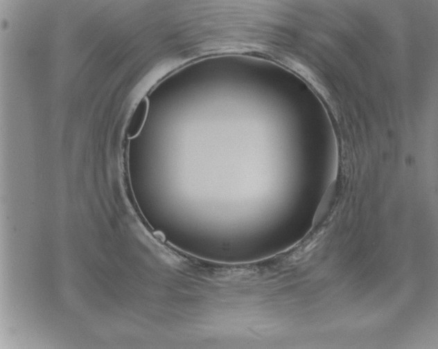 X0000075841187200609221657