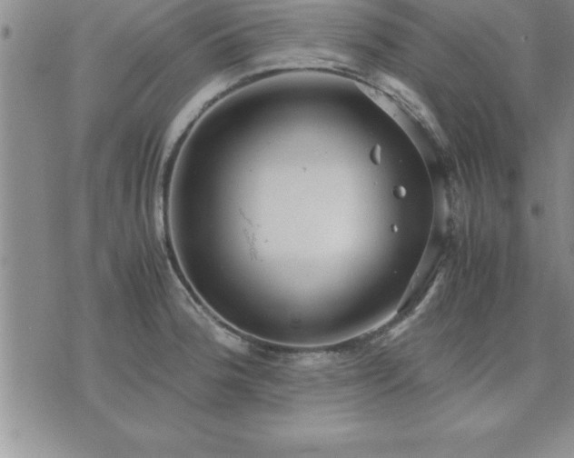 X0000075841188200609221657