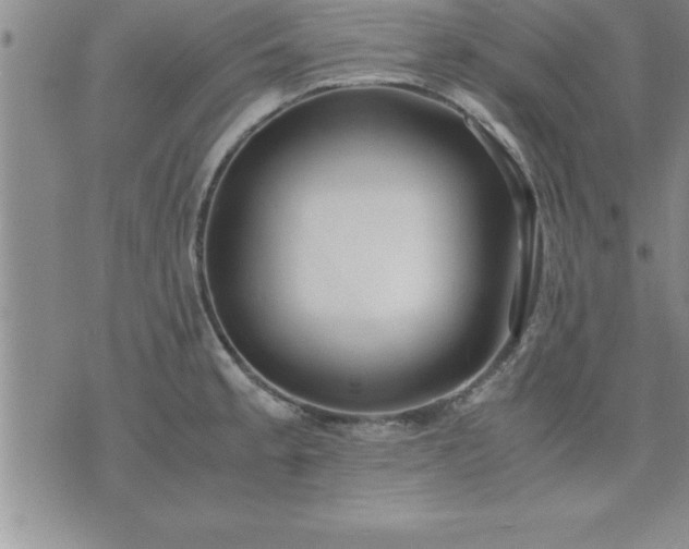 X0000075841189200609221657