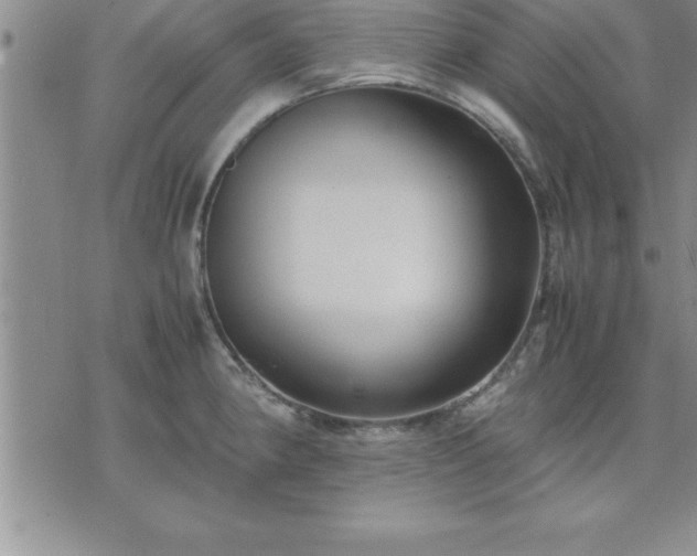 X0000075841190200609221657