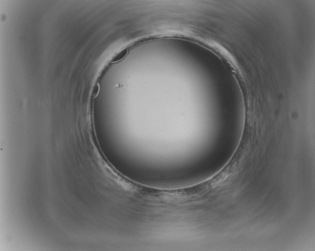 X0000075841191200609221657