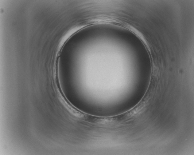 X0000075841195200609221657