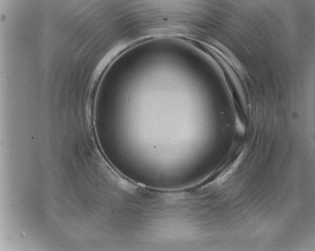 X0000075841196200609221657