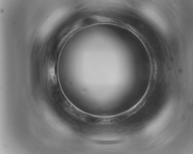 X0000075841198200609221657