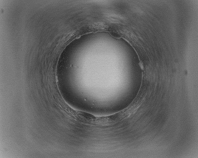 X0000075841201200609221656