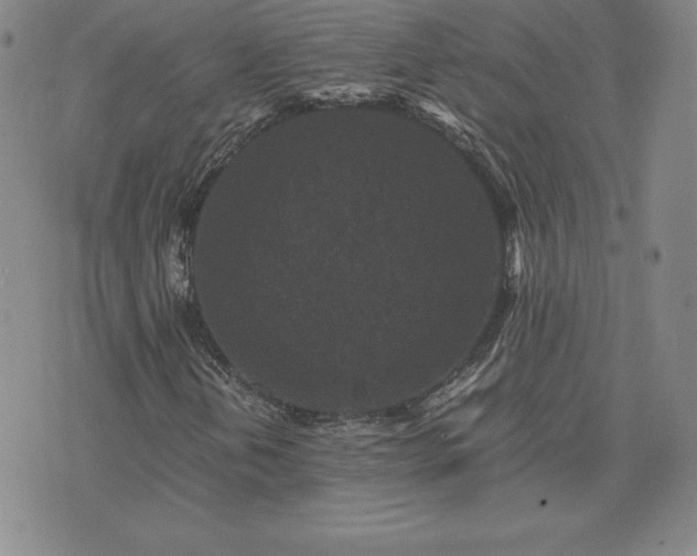 X0000075841202200609221656