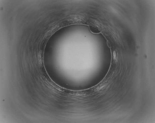 X0000075841203200609221656