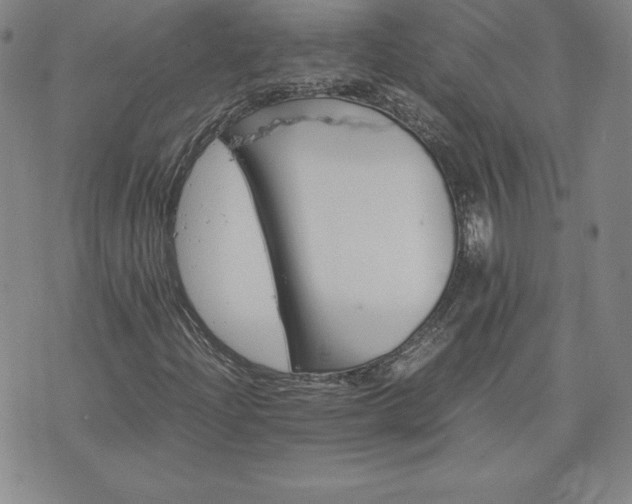 X0000075841204200609221656