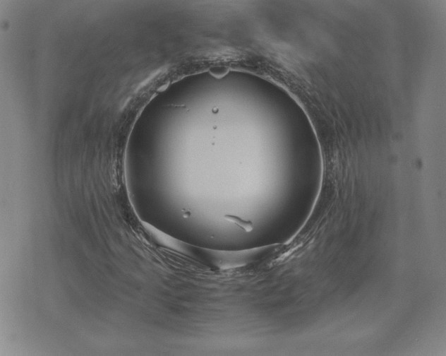 X0000075841205200609221656