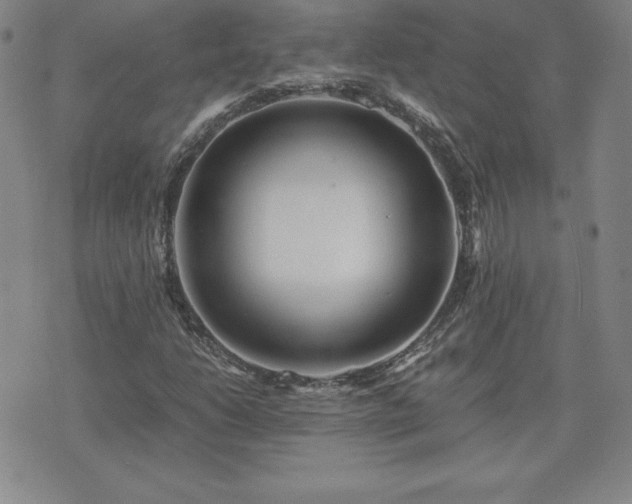 X0000075841206200609221656