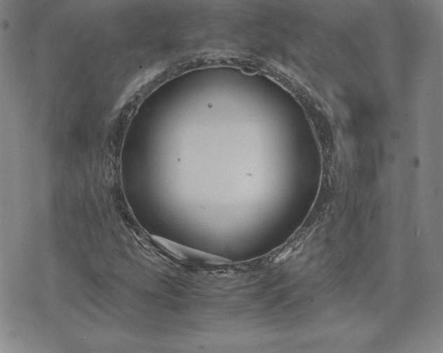 X0000075841207200609221656