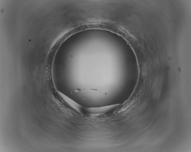 X0000075841208200609221656