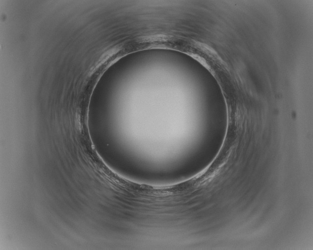 X0000075841209200609221656