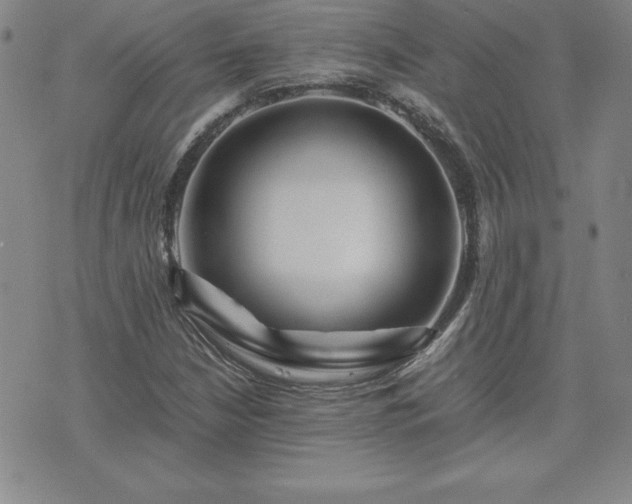 X0000075841210200609221656