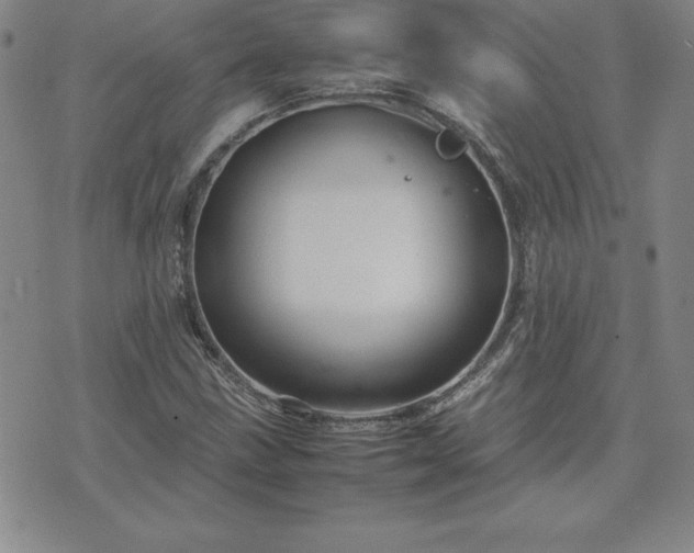 X0000075841211200609221656