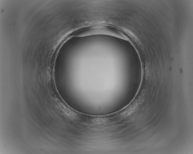 X0000075841212200609221656