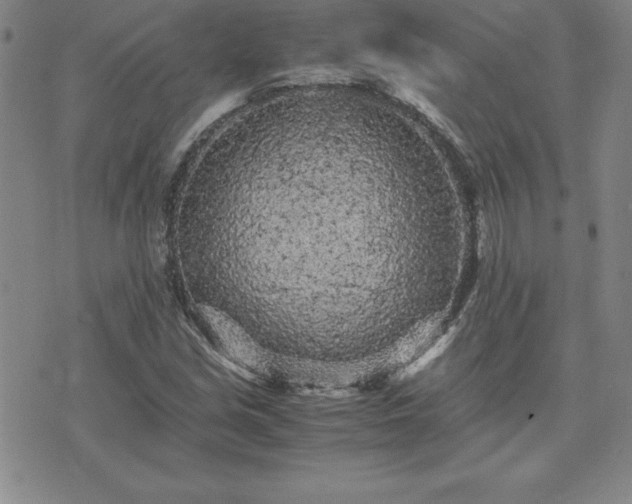 X0000075841213200609221656