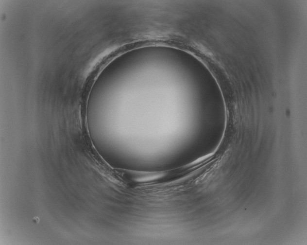 X0000075841214200609221656