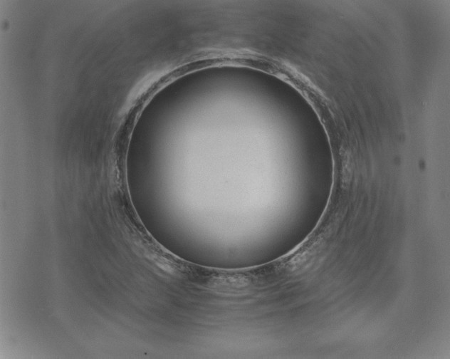 X0000075841215200609221656