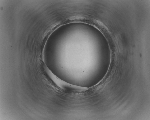 X0000075841217200609221656