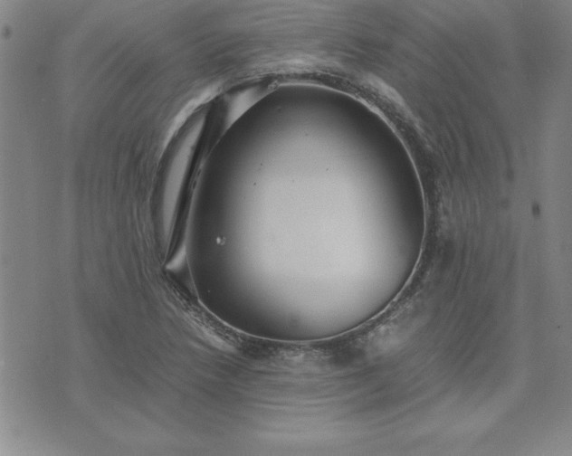 X0000075841218200609221657