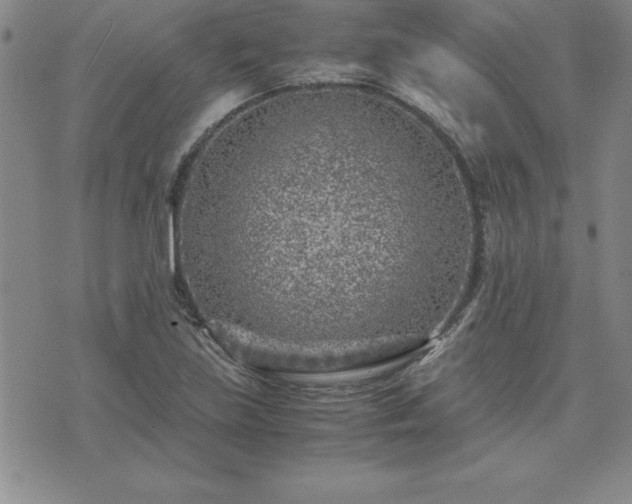 X0000075841219200609221657