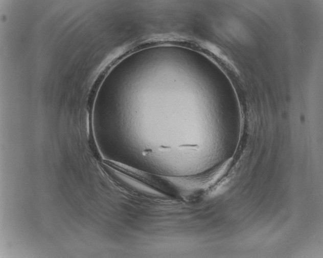 X0000075841221200609221657