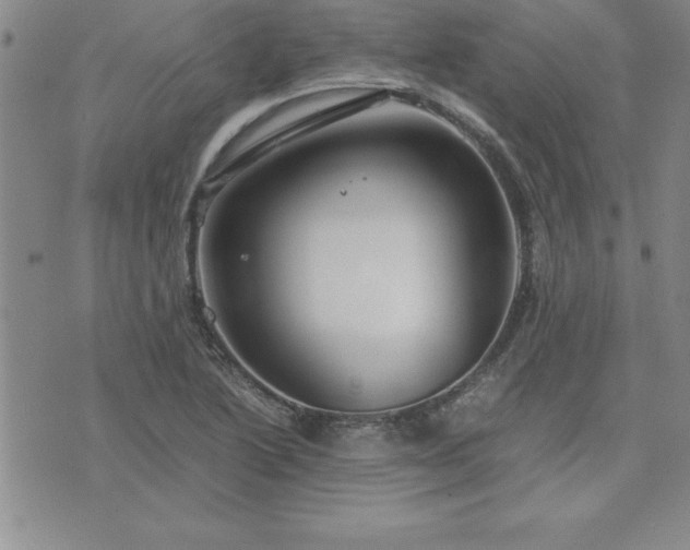 X0000075841222200609221657