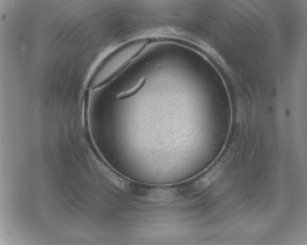 X0000075841224200609221657