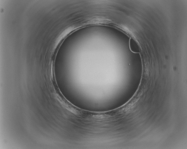 X0000075841227200609221657