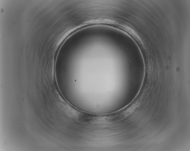 X0000075841228200609221657