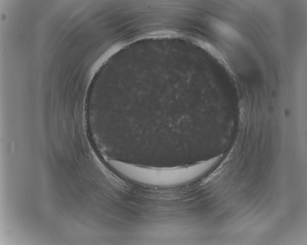 X0000075841229200609221657