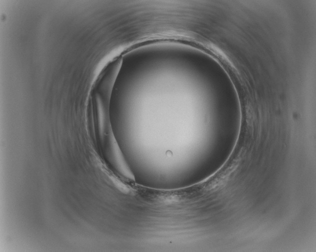 X0000075841230200609221657