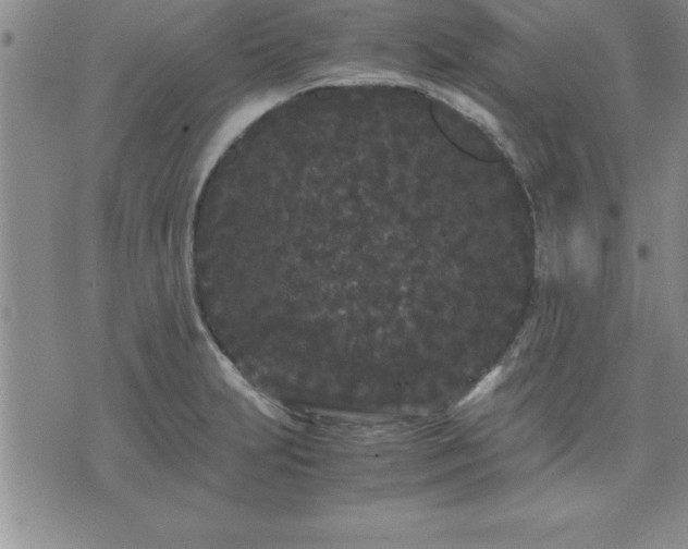 X0000075841231200609221657