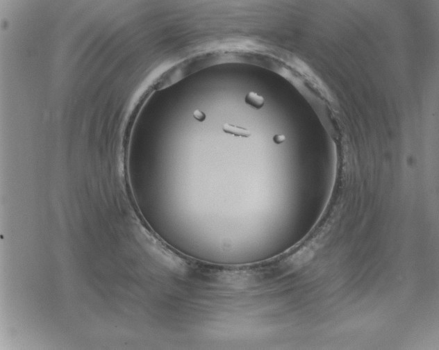 X0000075841232200609221657