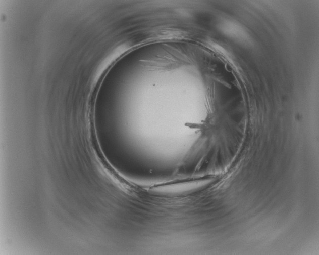 X0000075841235200609221657