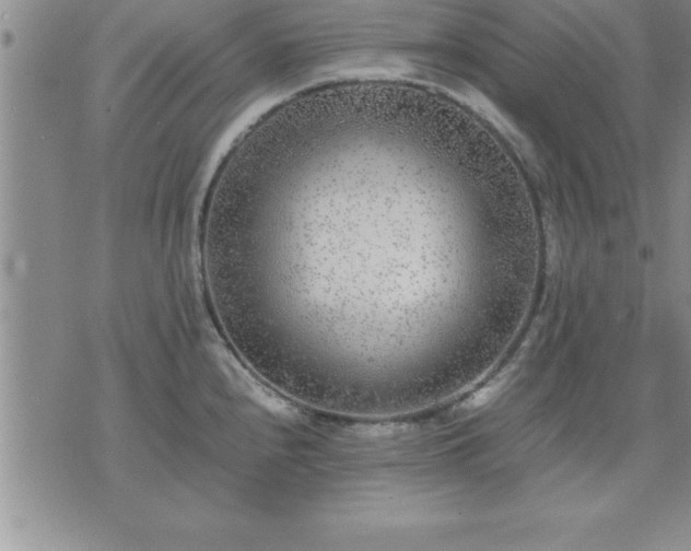 X0000075841240200609221657