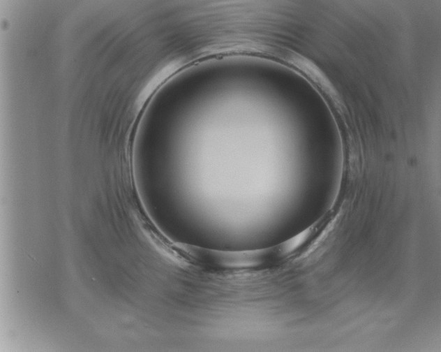 X0000075841242200609221657