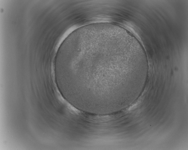 X0000075841243200609221657