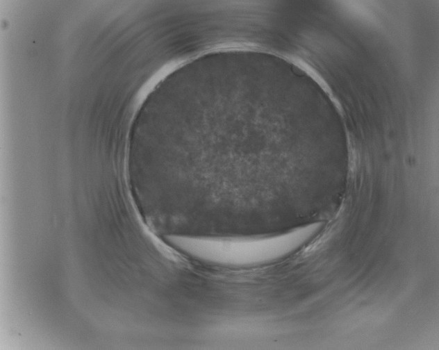 X0000075841245200609221657