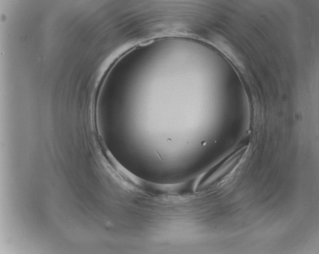 X0000075841246200609221657