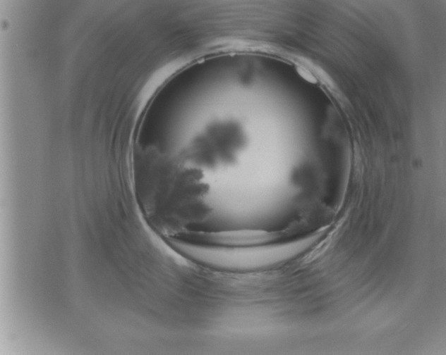 X0000075841247200609221657