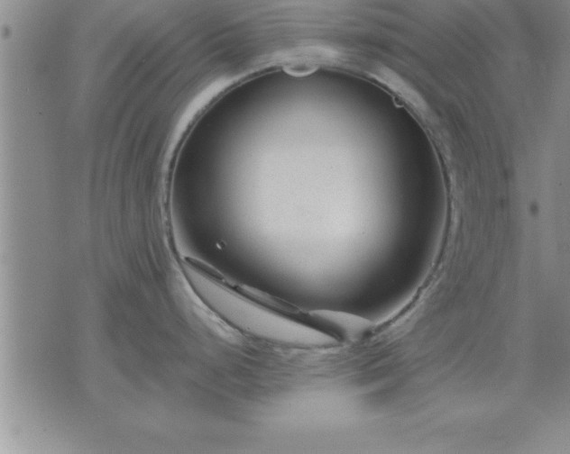 X0000075841248200609221657