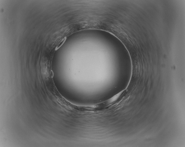 X0000075841250200609221656