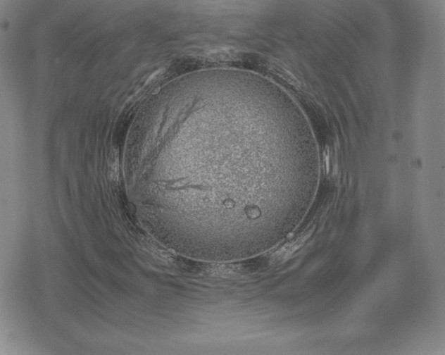 X0000075841251200609221656