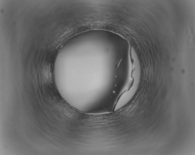 X0000075841252200609221656