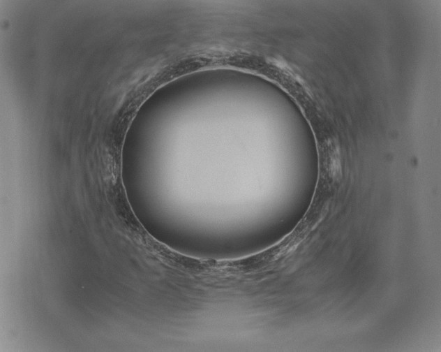 X0000075841253200609221656