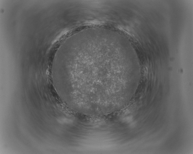 X0000075841254200609221656