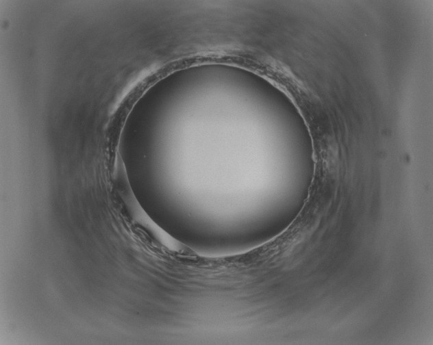 X0000075841256200609221656