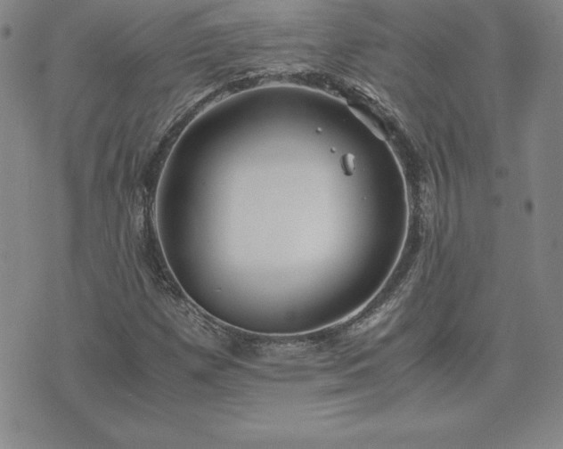 X0000075841257200609221656